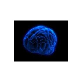 Social. Ethical, and Human Issues: Standard: BCS-CA 1-1